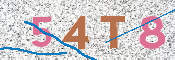 Obrazek CAPTCHA